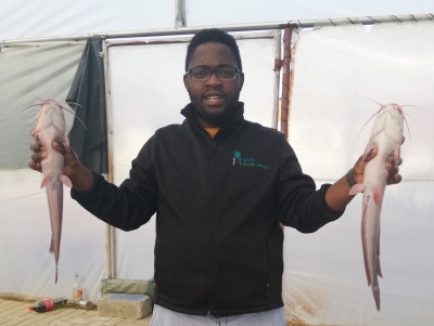 from humble beginnings to qualified aquaponics expert