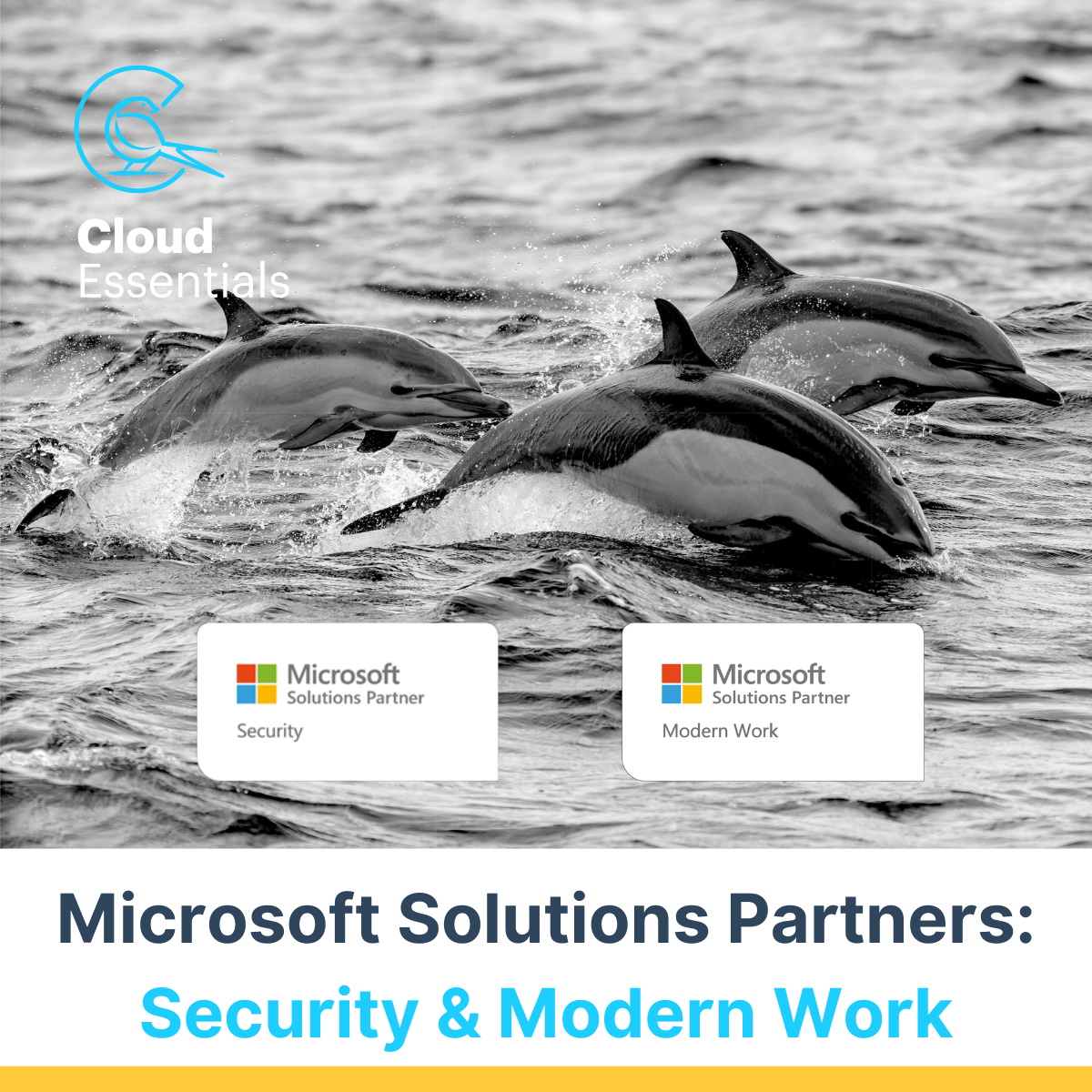 Cloud Essentials Awarded Microsoft Solutions Partner Designations | ITWeb