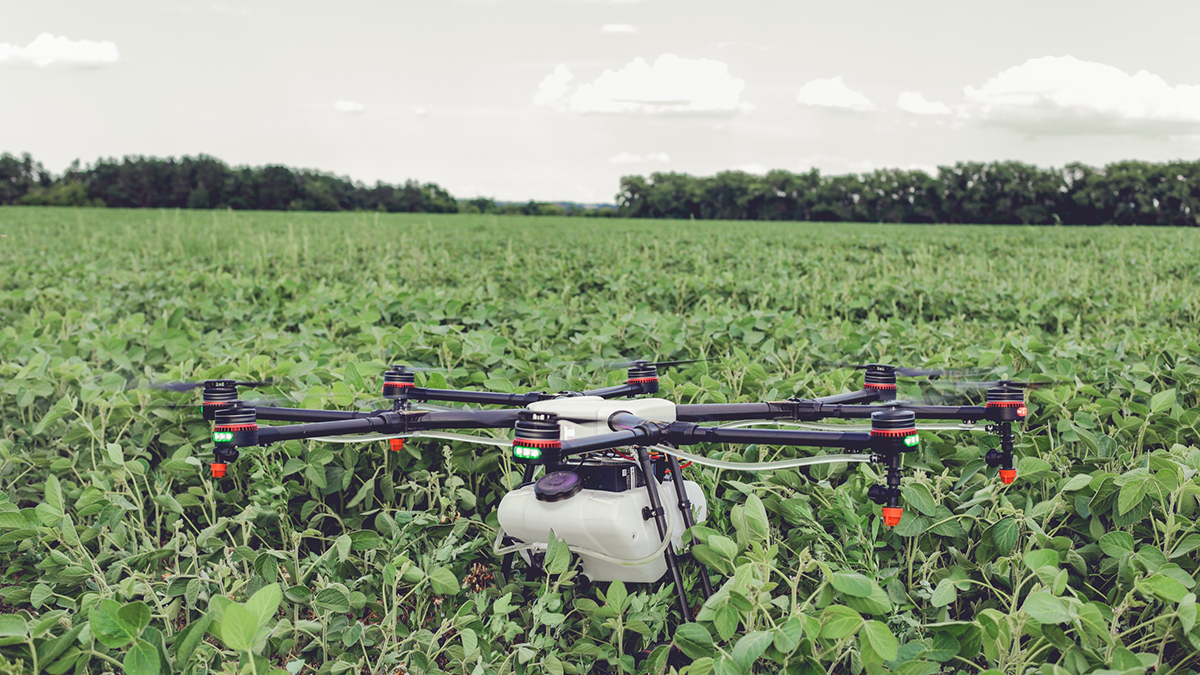 Woolworths farmers integrate drone tech for agriculture | ITWeb