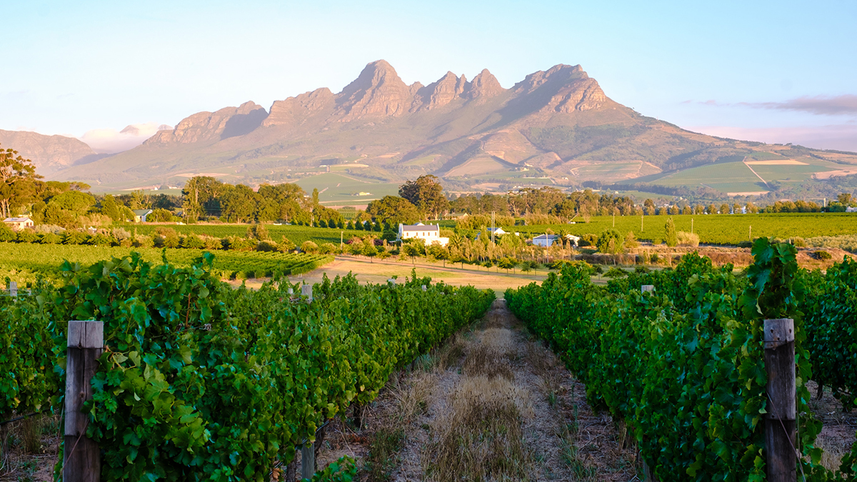 Stellenbosch becomes emerging 'tech town'